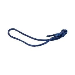 Elastiques bleus